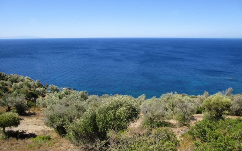 Agios Focas, For sale 6816m2 seafront plot overlooking the Aegean